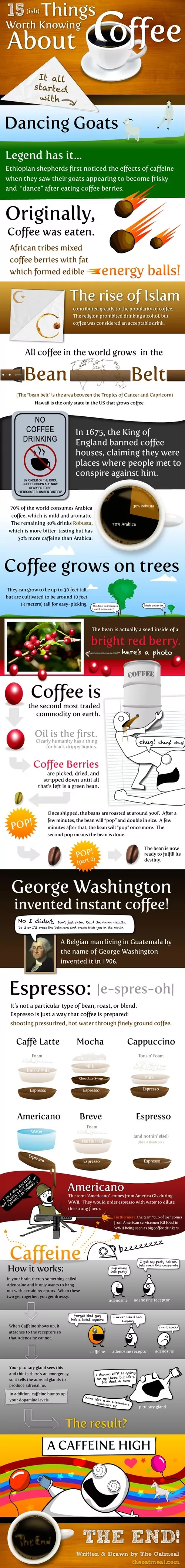 15 things about coffee