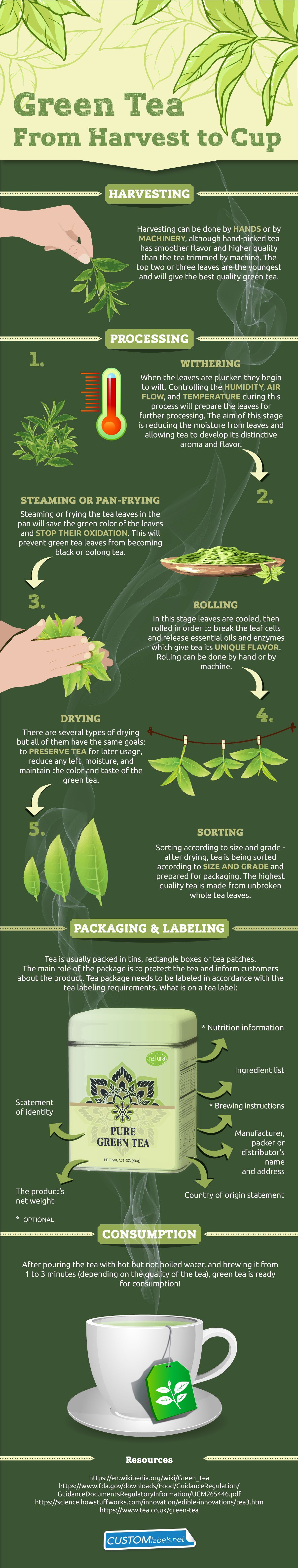 Green tea production journey from harvest to cup